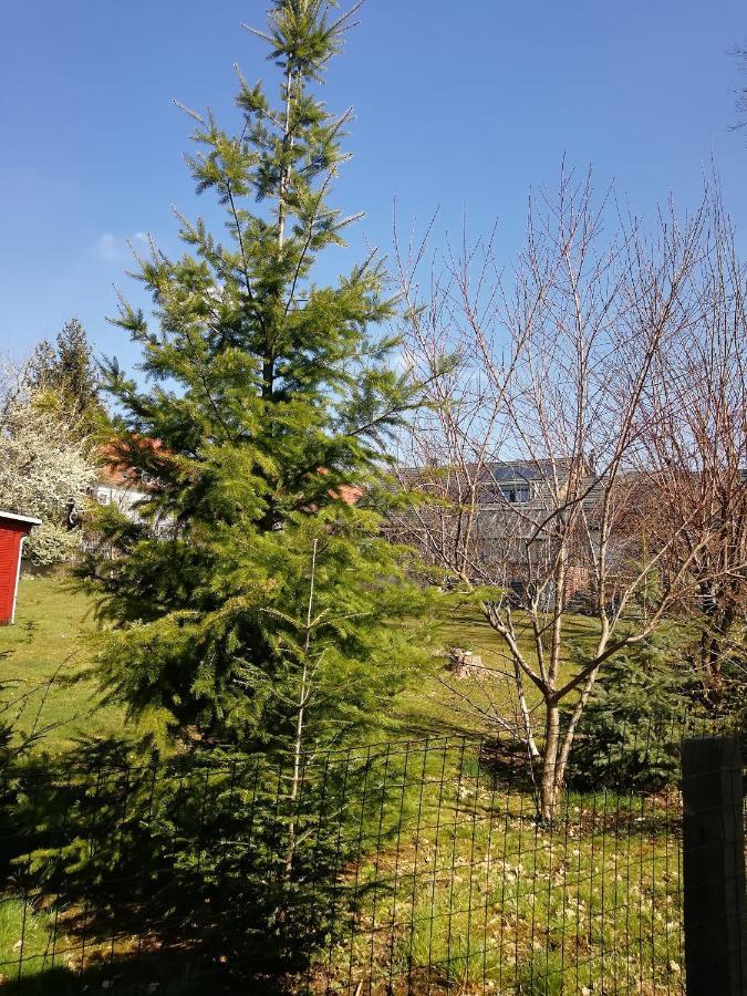 Kleines Studio Im Eichenwaeldchen, 1 Zimmer Kueche Bad Friedrichsgrun Eksteriør bilde