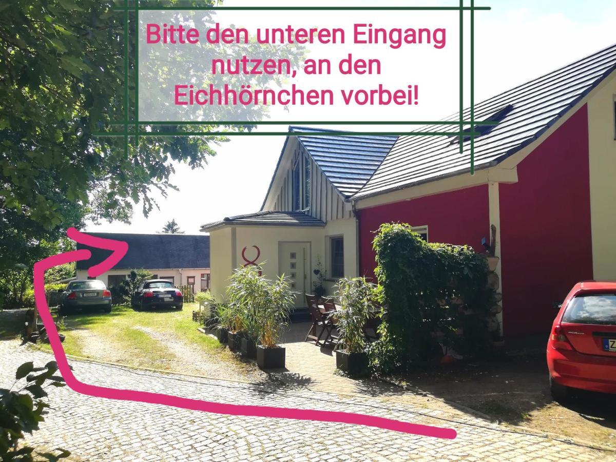 Kleines Studio Im Eichenwaeldchen, 1 Zimmer Kueche Bad Friedrichsgrun Eksteriør bilde