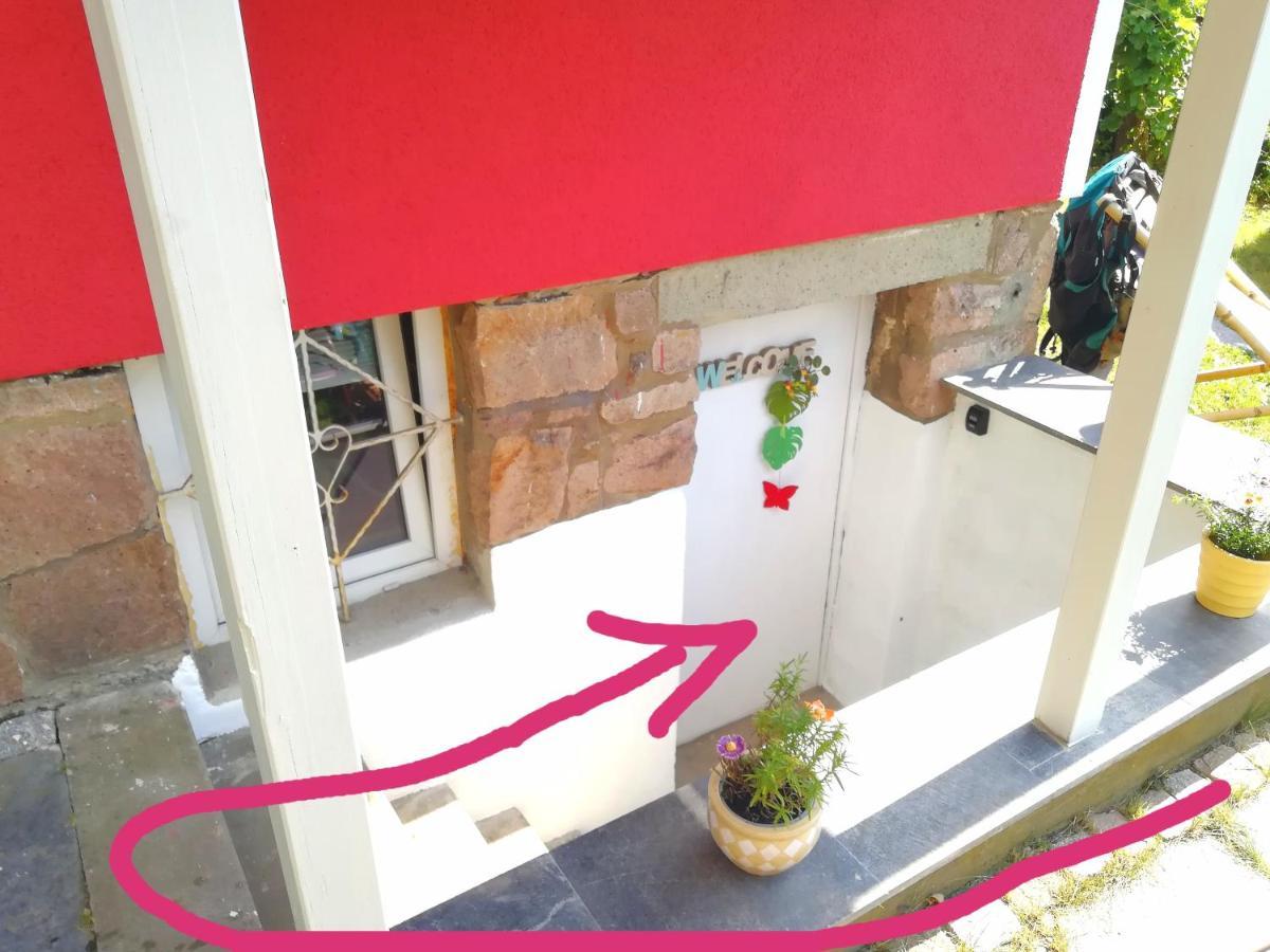 Kleines Studio Im Eichenwaeldchen, 1 Zimmer Kueche Bad Friedrichsgrun Eksteriør bilde